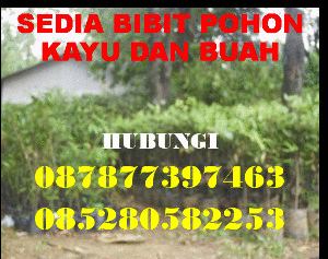 IKLAN BANNER